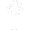 based_in_shelly_beach based_in_shelly_beach
